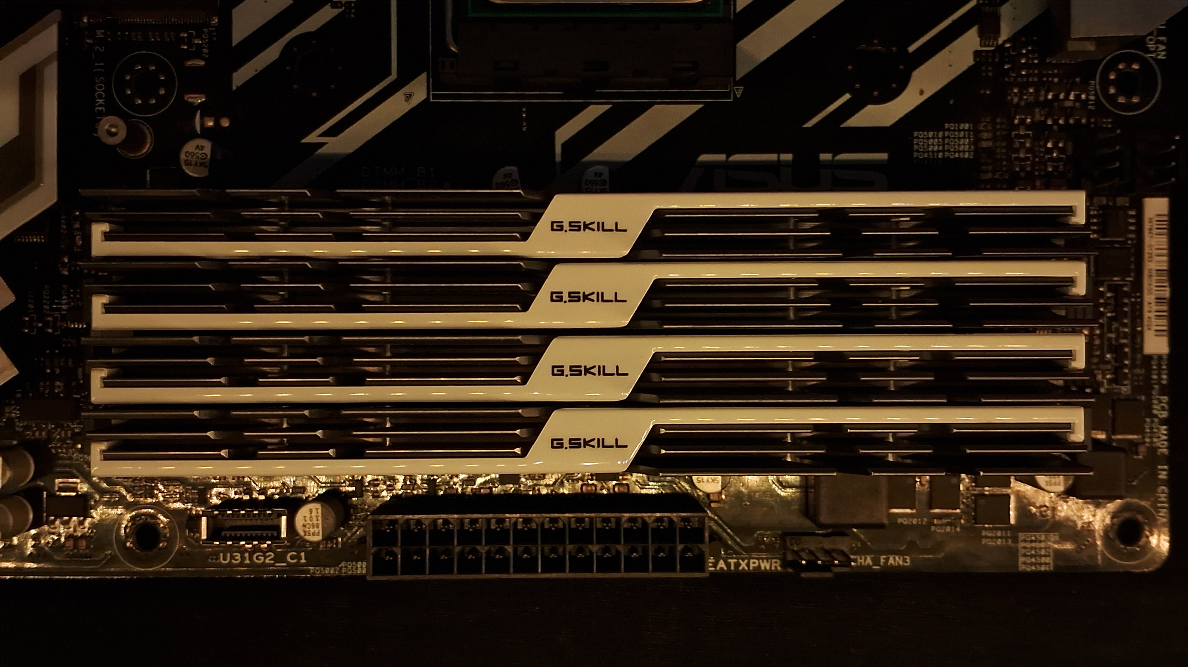 Enthusiast Gold and Metallic RAM Modules